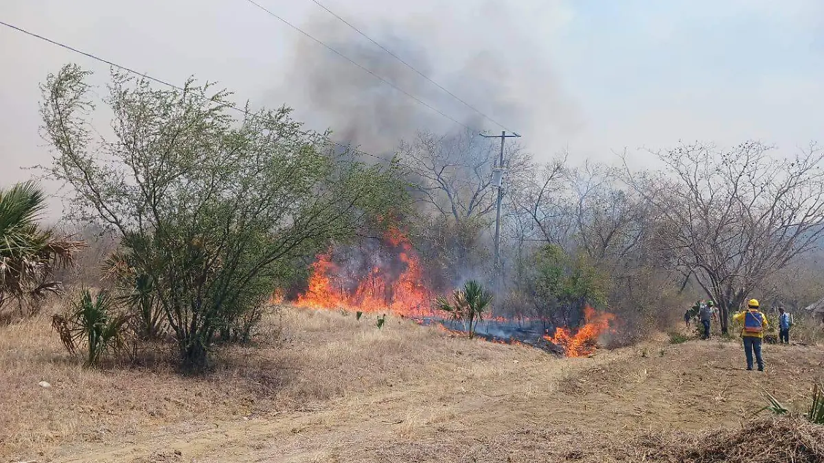 MTM incendios forestales